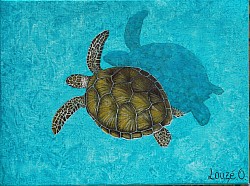 « Tortue  » (Acrylique sur toile) 30 x40 cm  50 000 xpf